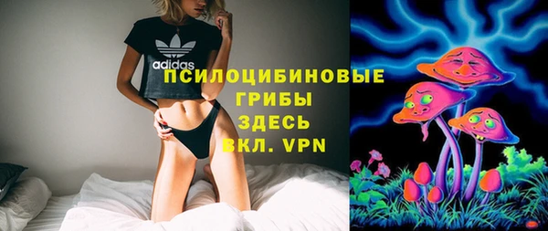 COCAINE Няндома